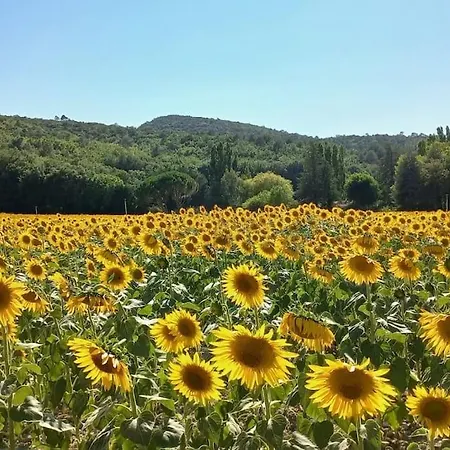 “le Verbe” In De Drome Provencale *
